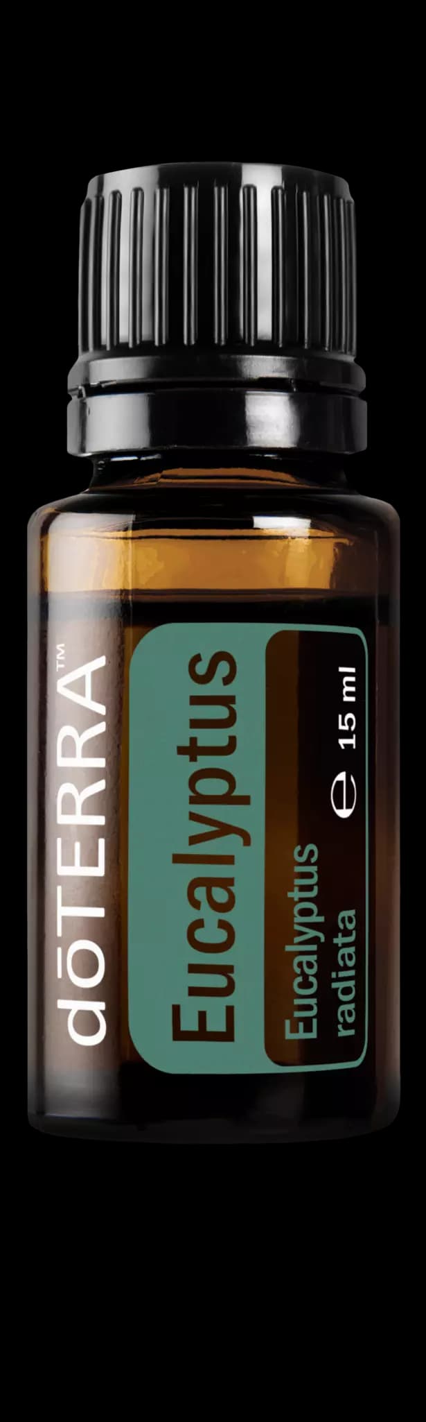Eukaliptus