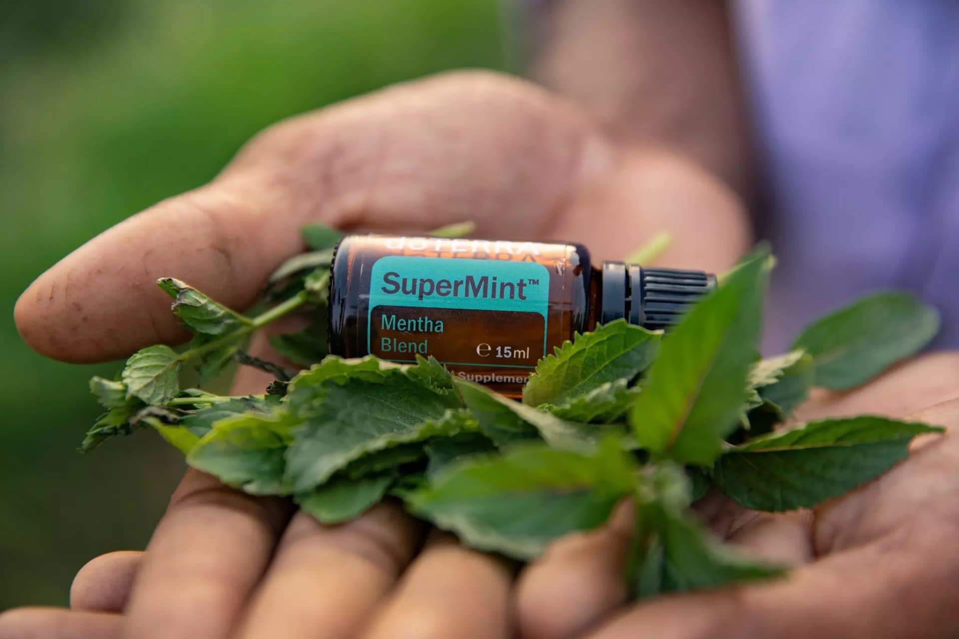 Chłodząca Mieszanka Miętowa SuperMint